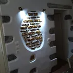 Butterfly View *