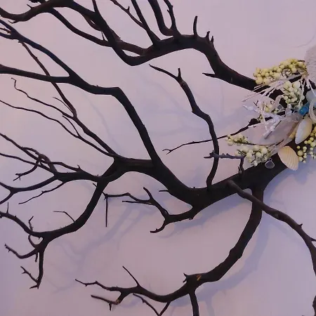 Daire Butterfly View Astypálaia