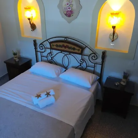 Daire Butterfly View