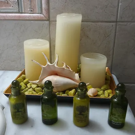 Butterfly View Daire Astypálaia