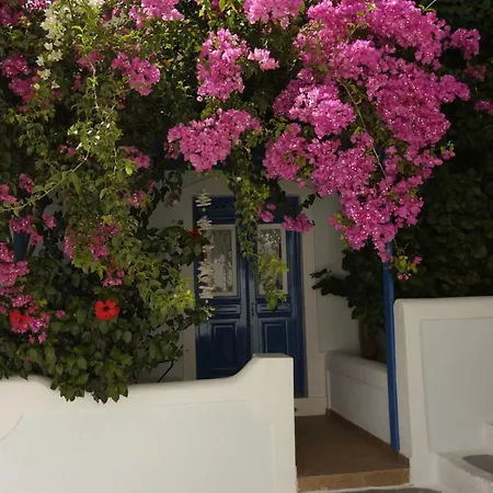 Butterfly View * Astypalaia