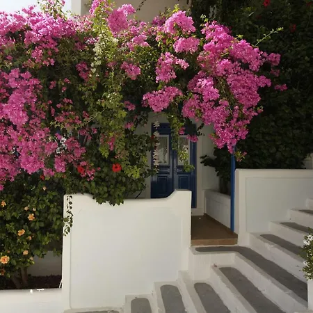 Апартаменты Butterfly View Astypalaia