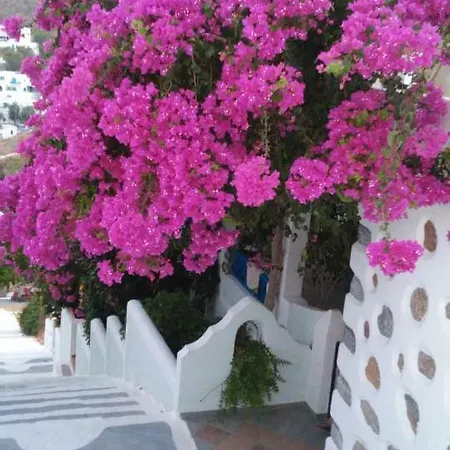 Butterfly View Apartment