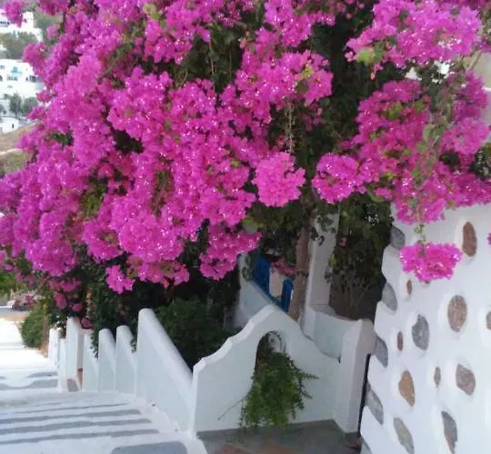 Butterfly View Apartment